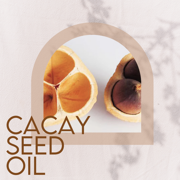 Cacay Seed: Firm and Regenerate the Skin